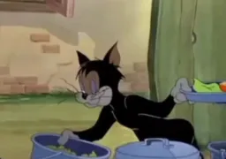 cat is finding food from trash