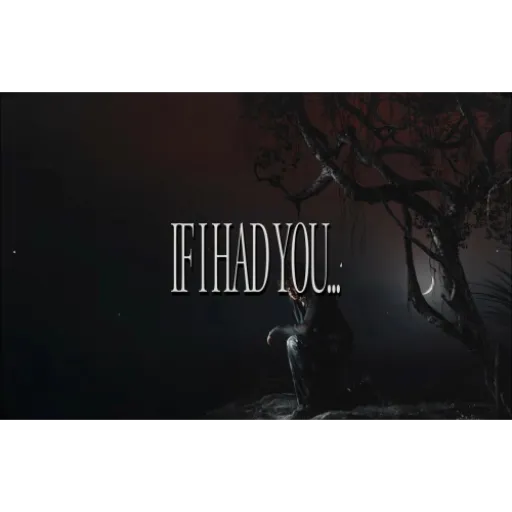 IF I HAD YOU... -chris gray