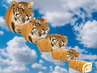 Tiger becomes rolling cake