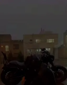 بتمن ناراحت روی زمین در هوای بارانی