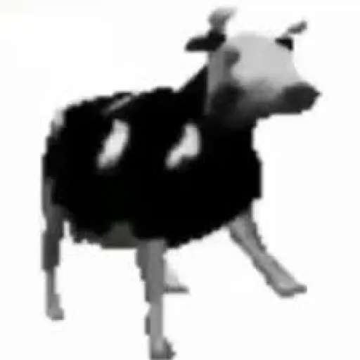 Polish Cow