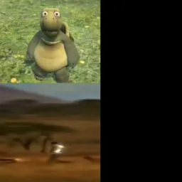 مقایسه فلش با لاک پشت