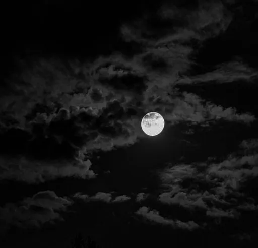 Night sound effect