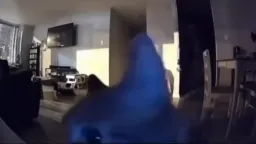 گربه فلش بنگ