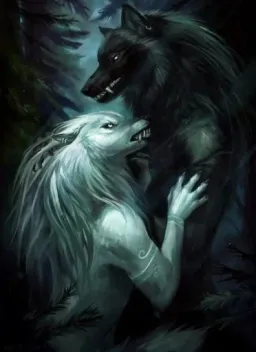 گرگ نر و ماده درحال نکاه به یکدیگر