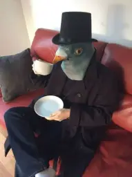 birdman drinking tea