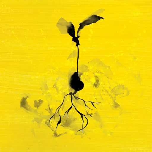 زندگی ادامه دارد - اد شیرن