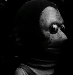 میمون تاریک