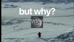 but why?