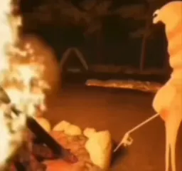 من این سنگو دوست ندارم