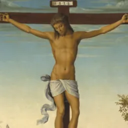 واکنش دین مسیحیت و عیسی مسیح