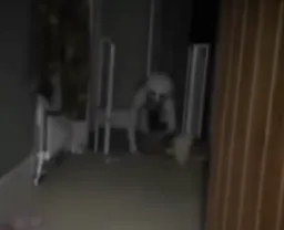 برخورد مرد عجیب به کمد