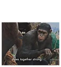 Apes Together Strong