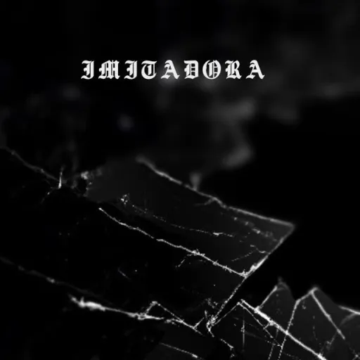 Imitadora (insturmental Sped Up) - ronald figo