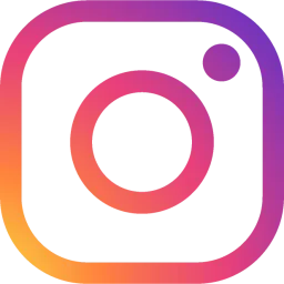 Insta logo