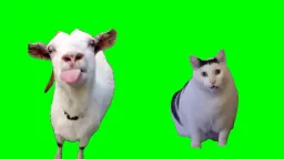 صحبت گاو و گربه پرده سبز