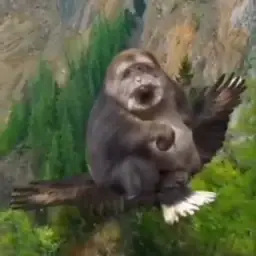 monkey eating banana on the bird