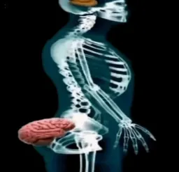 An honest reaction of the brain in the butt