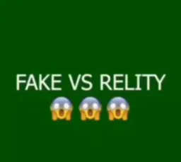 fake vs relity