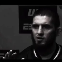 واکنش صادقانه حبیب