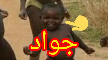 جواد