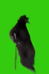 SCP 049 green screen