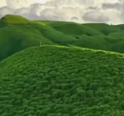 Beautiful natures (nostalgic quality)