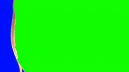 سوختن پرده سبز