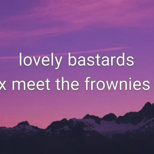 Lovely bastards x Meet the frownies