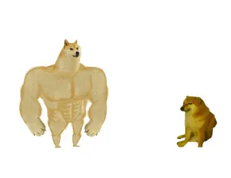 Buff Doge vs cheems