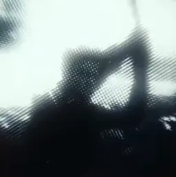 واکنش صادقانه هاکای