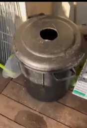 Cat getting out of bucket