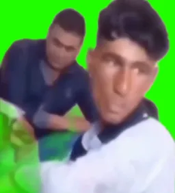خوشتیپ_پرده سبز