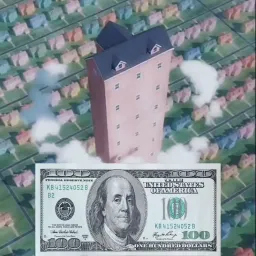 دلار در جاهای مختتلف و عجیب