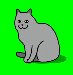 cat 2