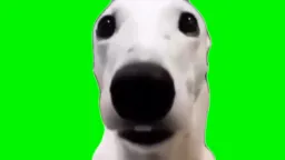 ترس و لرز سگ پرده سبز