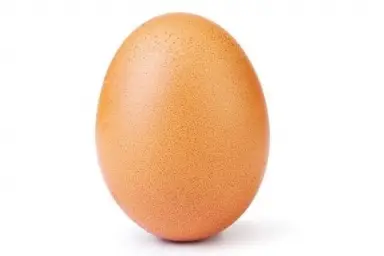 egg