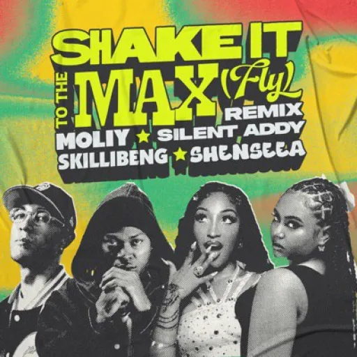 Shake It To The Max (Fly) Remix