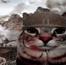 Soldier Cat Bad Memories