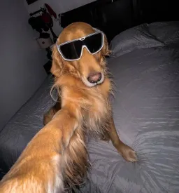 dag