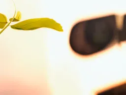 واکنش صادقانه وال ای
