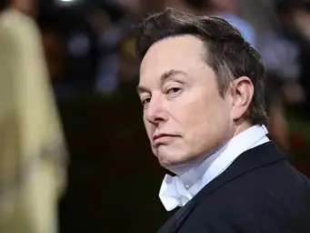 Elon musj side eye view