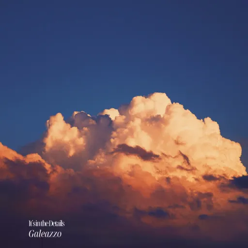 It's in the Details by Galeazzo