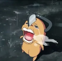 گریه پوچیتا با صورت مرد اره ای