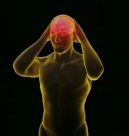 Pain head ( better quility)