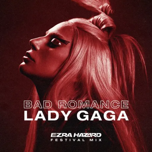 Bad romance-Lady Gaga