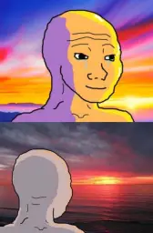 Wojak looking at sunset