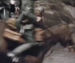 واکنش سرباز های جنگ جهانی