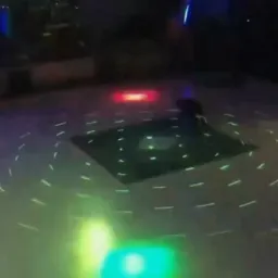 گربه در حال دنبال کردن نور