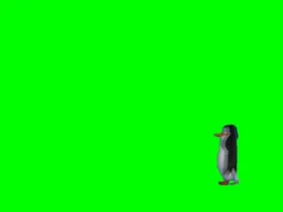 پرده سبز رقص پنگوئن